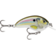 Rapala Otts Garage Tiny 04 Lure, Live River Shad, OGT04RSL