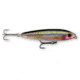 Rapala Saltwater Skitter Walk Topwater Lure, Floating, Holographic Silver, 5/8oz, 4 3/8in, SSW11HS