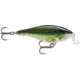 Rapala Shallow Shad Rap Crankbait, 2 3/4in, 1/4 oz, Floating, Baby Bass, SSR07BB