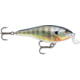 Rapala Shallow Shad Rap 07 Lure, Blue Gill, SSR07BG