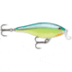 Rapala Shallow Shad Rap Crankbait, 2 3/4in, 1/4 oz, Floating, Caribbean Shad, SSR07CRSD