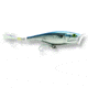 Rapala Skitter Pop Topwater Lure, Mullet, 7/16oz, 4 3/4in, SSP12MU