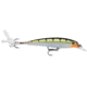 Rapala X-Rap Jerkbait, Yellow Perch, 2-1/2in, 1/8oz, XR06YP