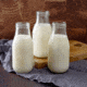 ReadyWise Simple Kitchen Whey Milk Alternative - 3 CT Case, 93 Serving Cans, RWSKCN06-018