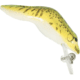 Rebel Lures Rebel Wee Frog, 2in, 3/8 oz, Floating, Chartreuse Frog, F7179