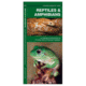 Reptiles/amphibians, James Kavanagh, Publisher - Globe Pequot Press