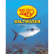 Rio Saltwater Knotless 10ft - 13.2lb