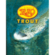 Rio Trout Knotless Leader 12ft - 6X