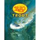 Rio Trout Knotless Leader -12ft-
