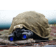 RIX RNV31S 1x27mm Night Vision Binocular