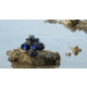 RIX RNV31S 1x27mm Night Vision Binocular