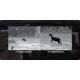 RIX Stride ST3 Lite Thermal Imaging Monocular