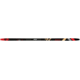 Rossignol Evo XC 55 Rskin/Control SI Ski - Mens, Black/Red, 195, RHKWC05 000195