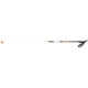 Rossignol XT 700 Touring Poles-170-clearance