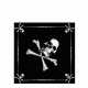 Rothco Jolly Roger Bandana, 4030