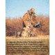 Rothco X Bear Archery Fred Camo Moisture Wicking T-Shirt, Camo, Large, 613902036055