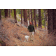 Royal Robbins Venturelayer Fleece 1/4 Zip Pullover - Men's, Large, Cypress, Y412025-190-L