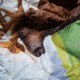 Rumpl Original Puffy Blanket, Denali National Park, 1 Person, TPPB-DEN-1