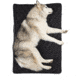 Rumpl The Travel Dog Bed, Loki, Big, TTDB-LOK-B