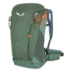 Salewa Alp Trainer 25 Backpack, Duck Green, 25L, 00-0000001230-5080