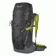 Salewa Alp Trainer 35L plus 3 Backpack, Black, One Size 00-0000001228-0900