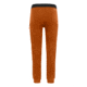 Salewa Lavaredo Hemp Train Pants - Mens, Autumnal, XL, 00-0000028239-4171-XL