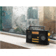 Sangean AM/FM-RDS Portable Radio Specially Designed for the Visually Impaired with Helpful, Black, PR-D17
