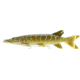 Savage Gear 3D Line Thru Pike Soft Bait, Pack of 1, 12in, Pike, 1586921
