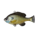 Savage Gear Pulse Tail Bluegill Line Thru, Bream, 5.5in, 1586251