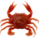 Savage Gear 3D PVC Crab Soft Bait, Pack of 1, 1in, New Penny, 1586974