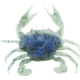 Savage Gear 3D PVC Crab Soft Bait, Pack of 1, 3in, Molting, 1586970