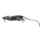 Savage Gear 3D Rat Topwater Hard Bait, 7.75in, 1 oz, Grey, 1586987