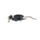Savage Gear 3D Rat Topwater Hard Bait