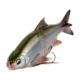 Savage Gear 3D Soft Shine Glide Soft Bait