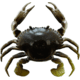 Savage Gear 3D TPE Crab Soft Bait, Pack of 1, 1in, Natural Peeler, 1587138