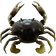 Savage Gear 3D TPE Crab Soft Bait, Pack of 1, 3in, Natural Peeler, 1587136