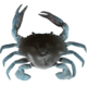 Savage Gear 3D TPE Crab Soft Bait, Pack of 1, 1in, Blue Crab, 1587137