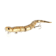 Savage Gear 3D Wake Snake Topwater Hard Bait