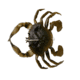 Savage Gear Toughtec Crab Soft Bait, Pack of 1, 0.75in, Green Crab, 1586646