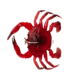 Savage Gear Toughtec Crab Soft Bait, Pack of 1, 0.75in, Crimson Crab, 1586647