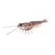 Savage Gear Manic Shrimp Weedless V2 Soft Bait