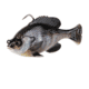 Savage Gear Pulse Tail Bluegill RTF Soft Bait