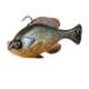 Savage Gear Pulse Tail Bluegill RTF Soft Bait