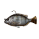 Savage Gear Pulse Tail Pinfish RTF Soft Bait, Pack of 1, 4in, Ghost Pinfish, 1585903