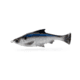 Savage Gear Pulse Tail Shiner Loose Body Soft Bait, Pack of 1, 4in, Shad, 1585593