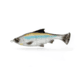 Savage Gear Pulse Tail Shiner Loose Body Soft Bait, Pack of 1, 4in, Hitch, 1585595