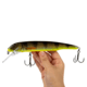 Savage Gear Sucker Flanker Crankbait