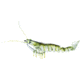 Savage Gear TPE 3D Shrimp Avocado, 4in, 1/4oz, Sinking, MS-100-AV