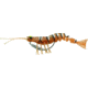 Savage Gear TPE 3D Shrimp New Penny, 2 1/2in, 3/25oz, Sinking, MS-65-NP