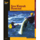 Sea Kayak Rescue, Schumann, Shriner, Publisher - Globe Pequot Press
